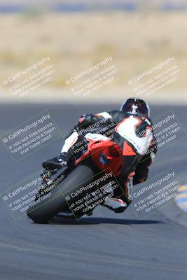 media/May-13-2023-SoCal Trackdays (Sat) [[8a473a8fd1]]/Turn 11 Backside (945am)/